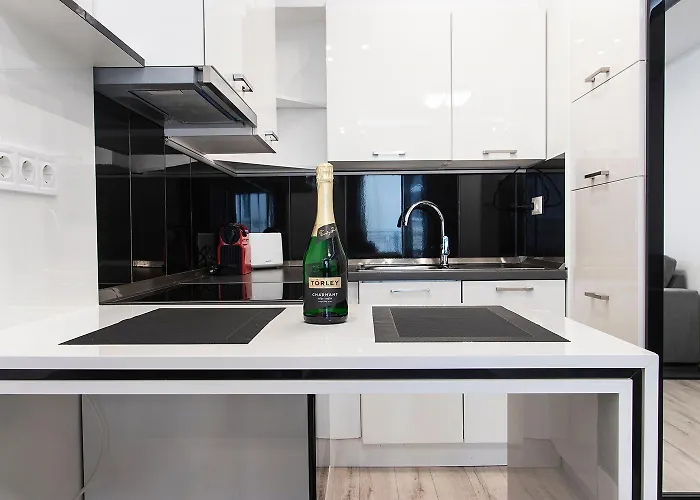 Apartament Stylish Centre